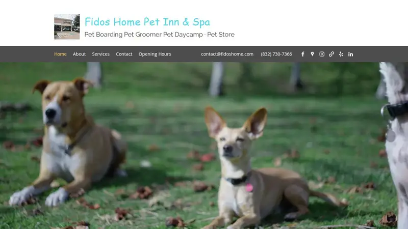 Fidos Home Pet Inn & Spa preview