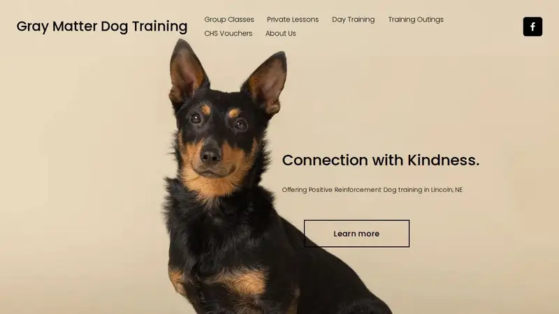 Gray Matter Dog Training preview