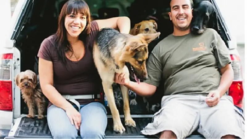 Wigglewag Dog Walking & Pet Sitting Service preview