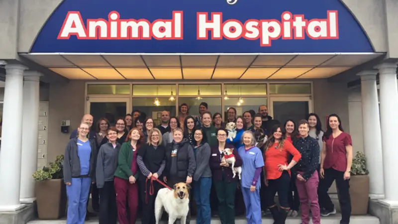 Elliott Bay Animal Hospital preview