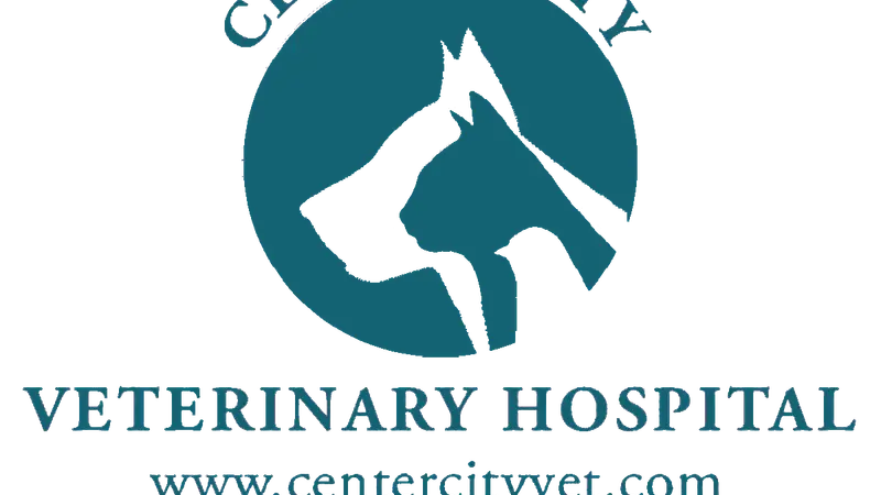 Center City Veterinary Hospital preview