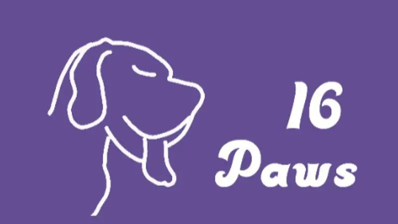 16 Paws preview