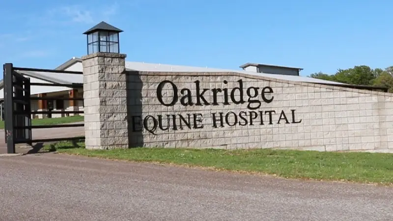 Oakridge Equine Hospital preview