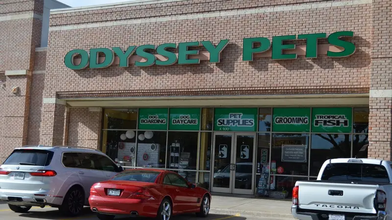 Odyssey Pets preview