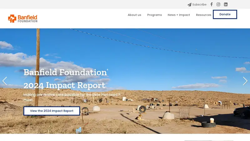 Banfield Foundation preview