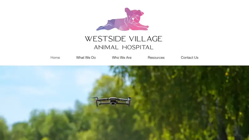 Westside Village Animal Hospital preview