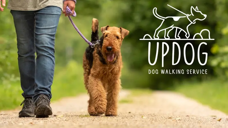 Updog Dog Walking preview