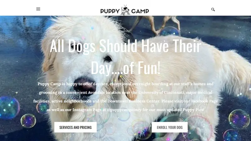 Puppy Camp preview