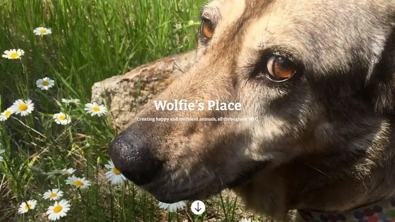 Wolfie's Place preview