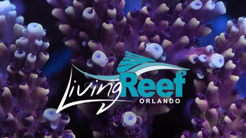 Living Reef Orlando preview