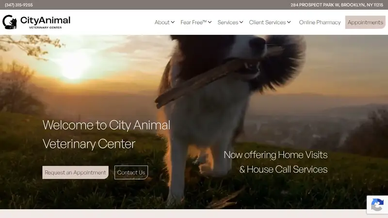 City Animal Veterinary Center preview