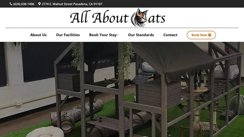 All About Cats preview
