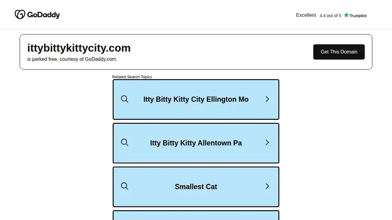 Itty Bitty & Kitty City preview