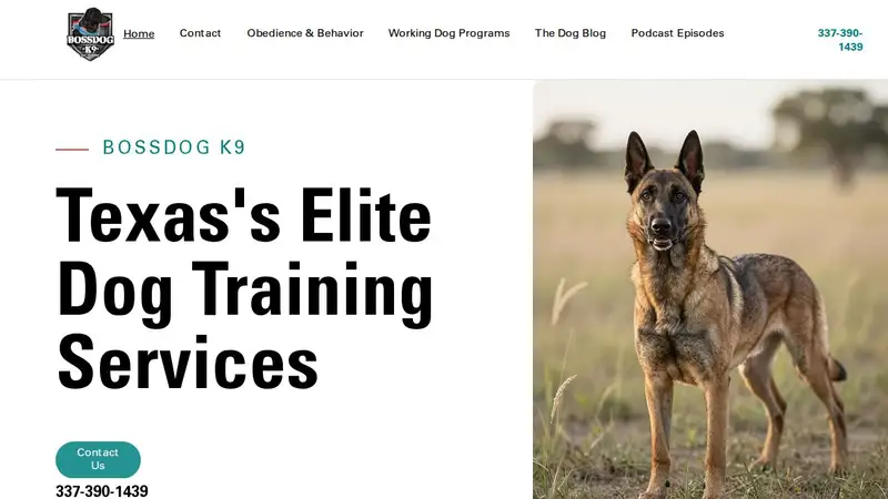 BossDog K9 Dog Training preview