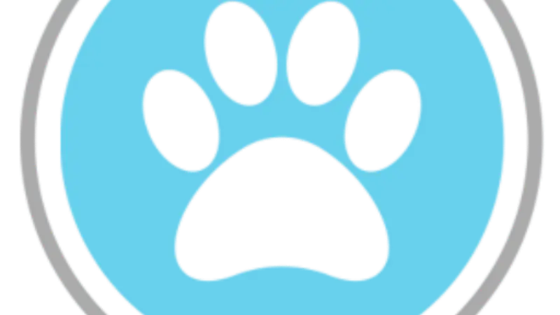 City Paws Pet Club preview