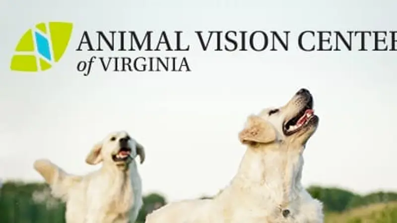 Animal Vision Center of Virginia preview