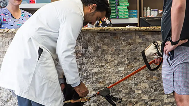 Caudle Veterinary Clinic preview
