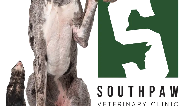 Southpaw Veterinary Clinic preview