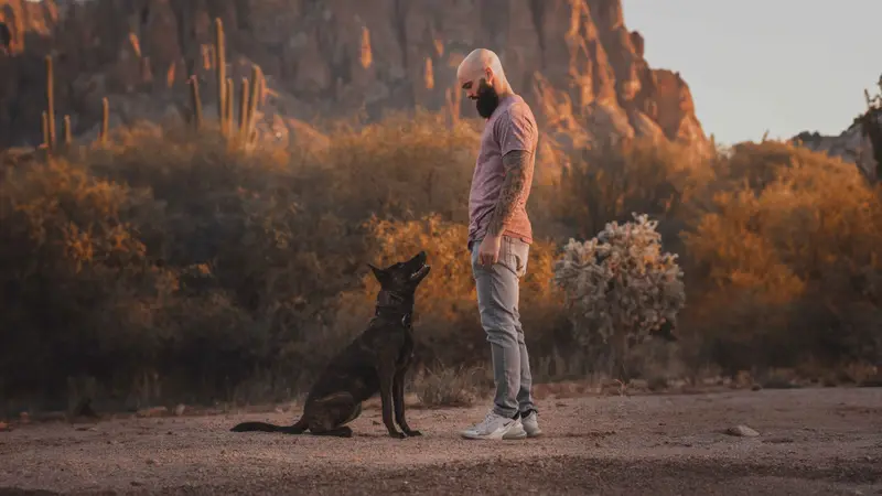 That Dog Trainer preview
