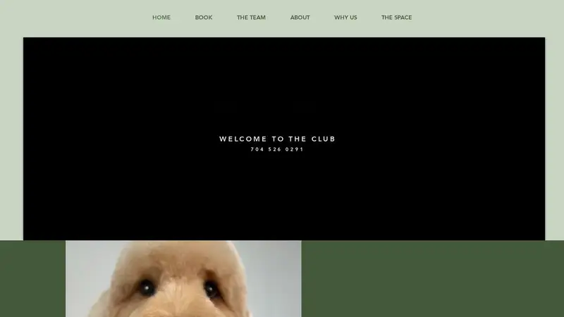 The Dogs Club CLT preview