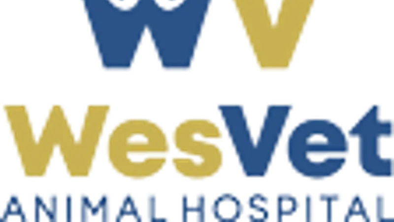 WesVet Animal Hospital preview