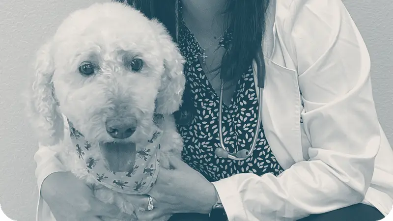 CityVet | Alamo Heights Veterinary Clinic & Urgent Care preview