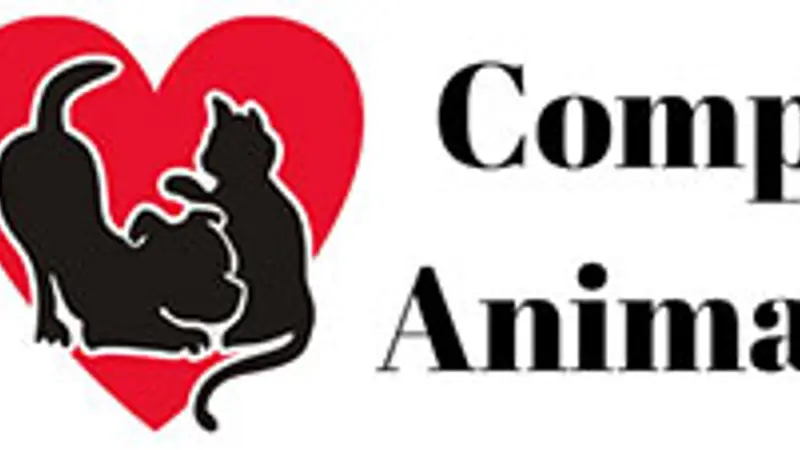 Companion Animal Clinic preview