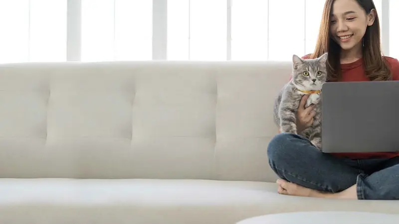 Chevy Chase Animal Clinic preview