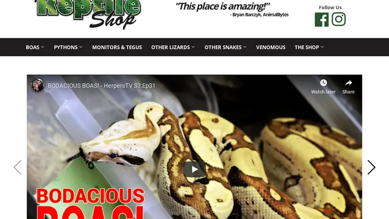 Reptile Shop preview