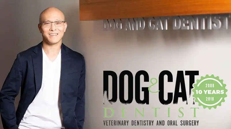 Dog and Cat Dentist preview