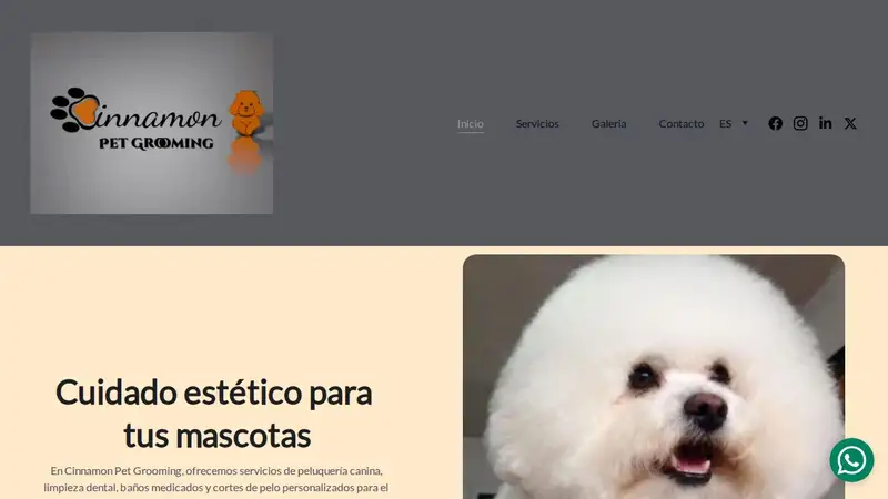 Cinnamon Pet Grooming- Peluqueria canina en Tampa FL preview