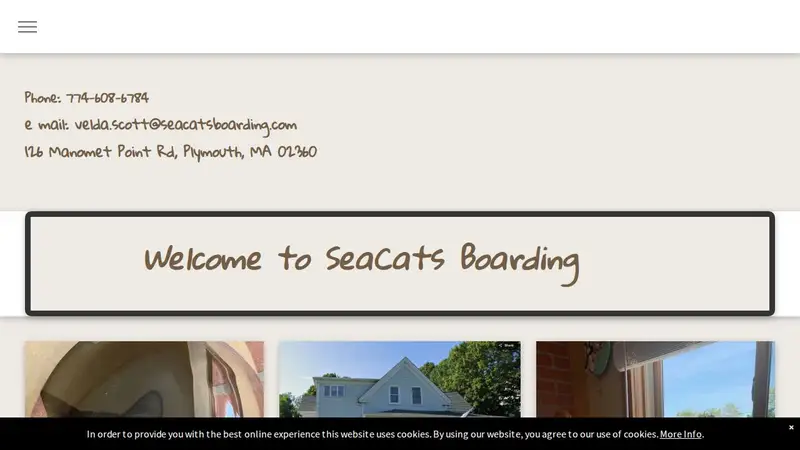 SeaCats Boarding preview