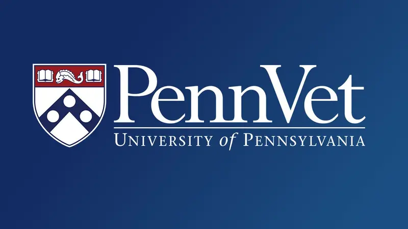 Veterinary Hospital University of Pennsylvania preview